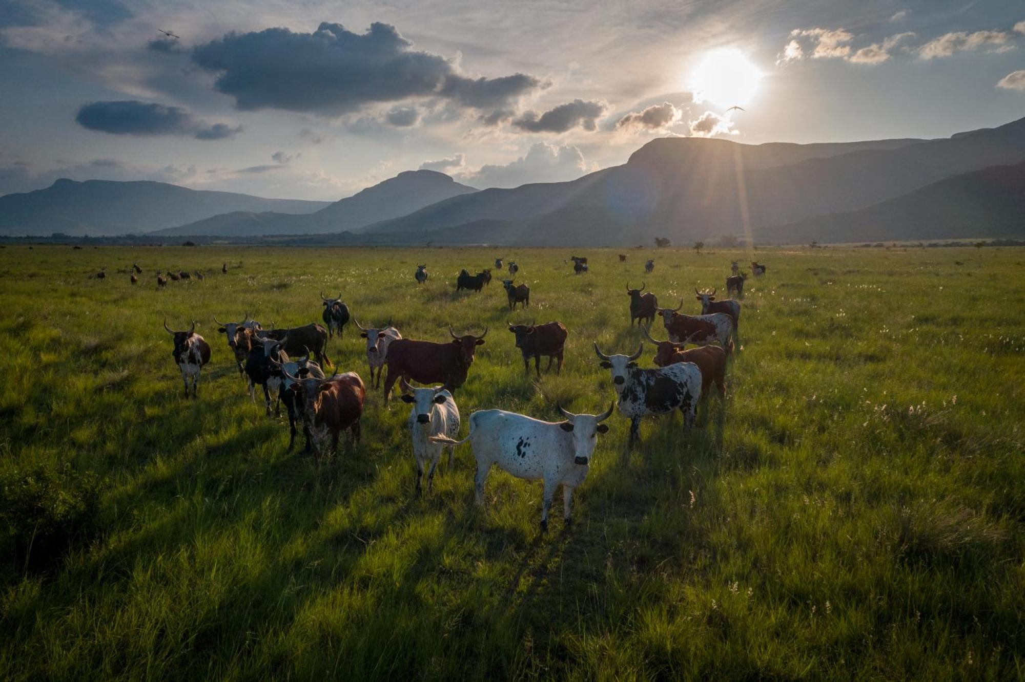 Vila The Cowshed Lydenburg Exteriér fotografie